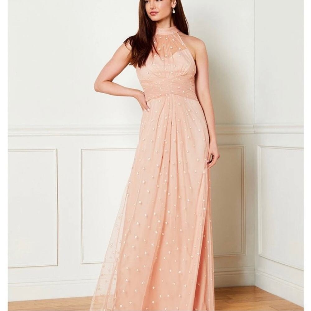 Adrianna Papell Glitter Dot Sheer Halter Neck Sleeveless Blush Pink Gown Size 12
